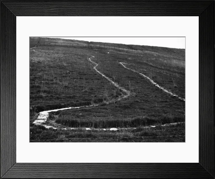 Framed Print : Wilmington Giants Foot Framed Print : Wilmington Giants Foot