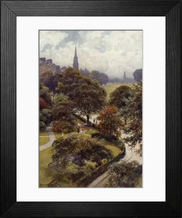 Framed Print : Harrogate Stray Framed Print : Harrogate Stray