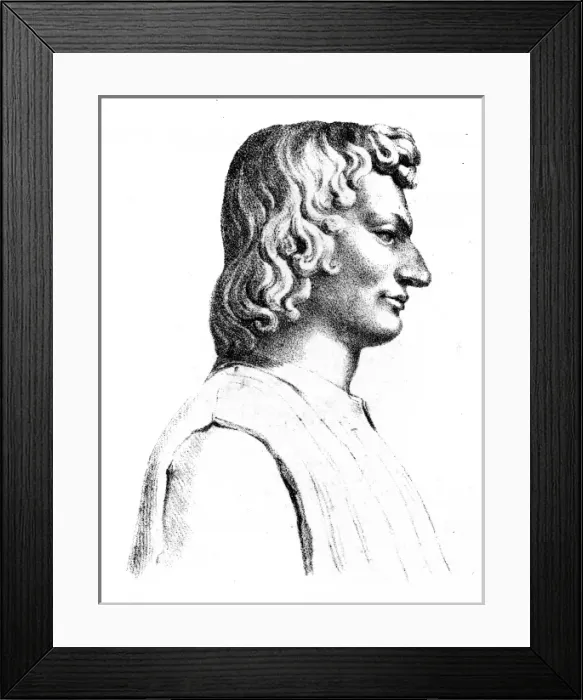 Framed Print : Lorenzo Di Medici Framed Print : Lorenzo Di Medici