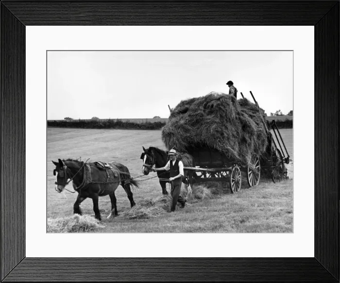 Framed Print : Picture No. 10180456 Framed Print : Picture No. 10180456