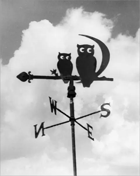 Owl Weathervane