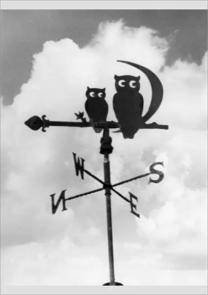 Owl Weathervane