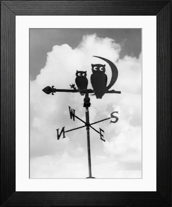 Framed Print : Owl Weathervane Framed Print : Owl Weathervane
