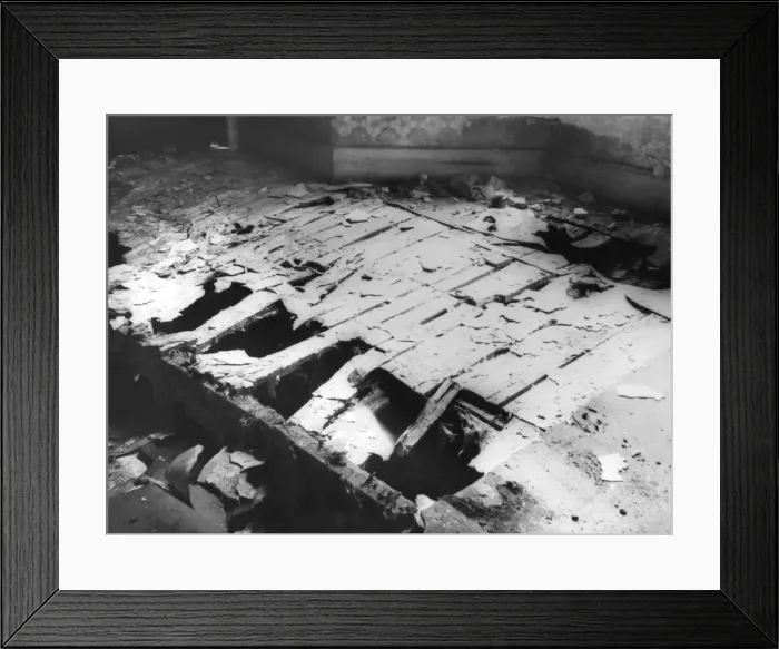 Framed Print : DRY ROT. Floorboards in an old house, destroyed by dry rot. Date: 1950s Framed Print : DRY ROT. Floorboards in an old house, destroyed by dry rot. Date: 1950s
