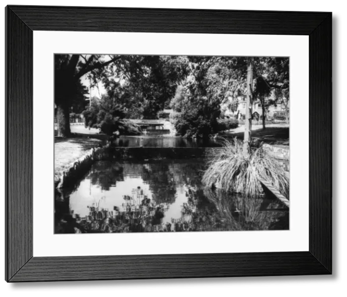 Framed Print : Freshwater Trout Stream Framed Print : Freshwater Trout Stream