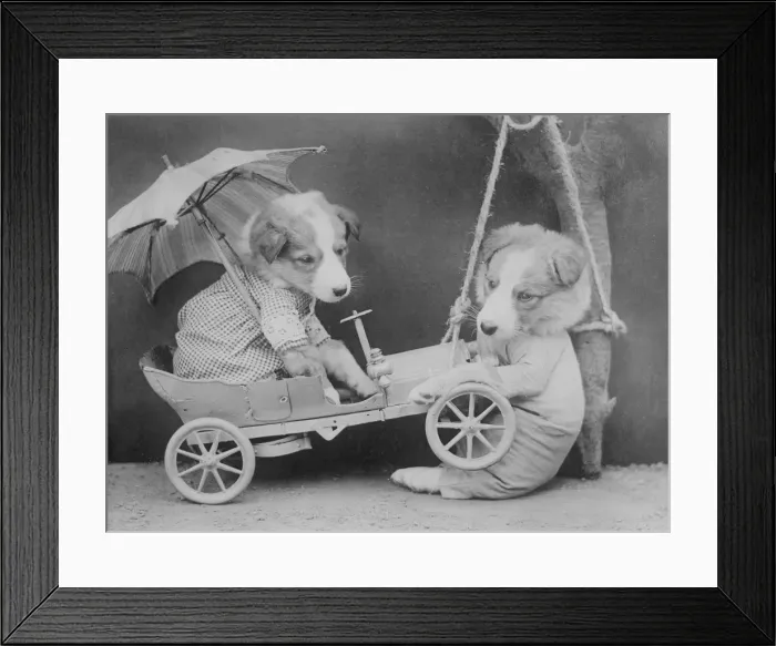 Framed Print : Dog Mechanic Framed Print : Dog Mechanic