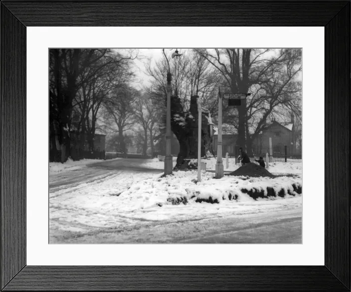 Framed Print : Picture No. 10180497 Framed Print : Picture No. 10180497