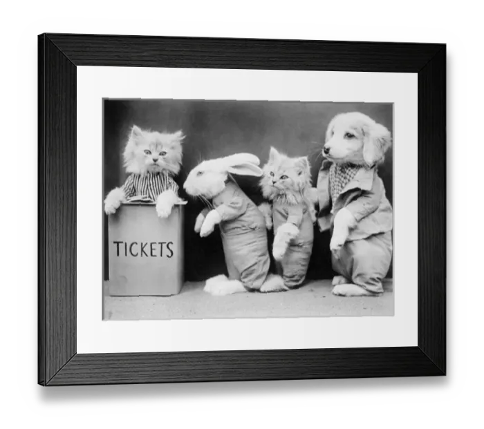 Framed Print : Animal Ticket Queue Framed Print : Animal Ticket Queue