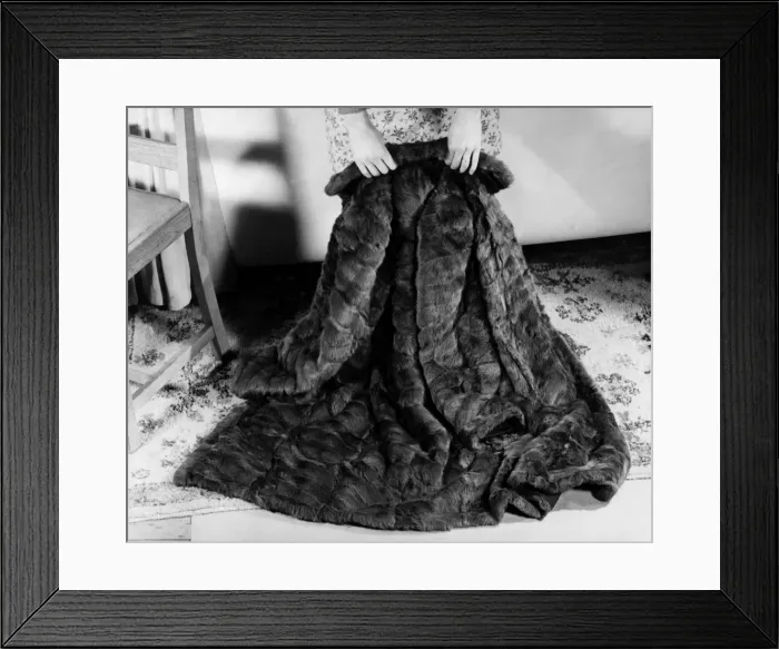 Framed Print : FUR COAT. A luxurious fur coat, spread out over a carpet to demonstrate its seams Framed Print : FUR COAT. A luxurious fur coat, spread out over a carpet to demonstrate its seams