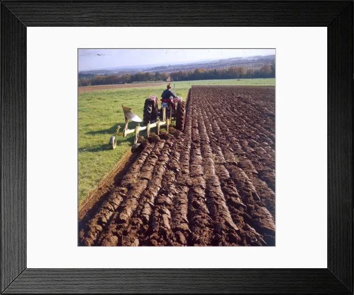 Framed Print : Ploughing a Field Framed Print : Ploughing a Field