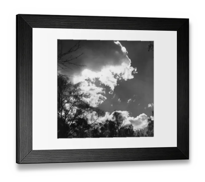 Framed Print : Trees and Clouds Framed Print : Trees and Clouds