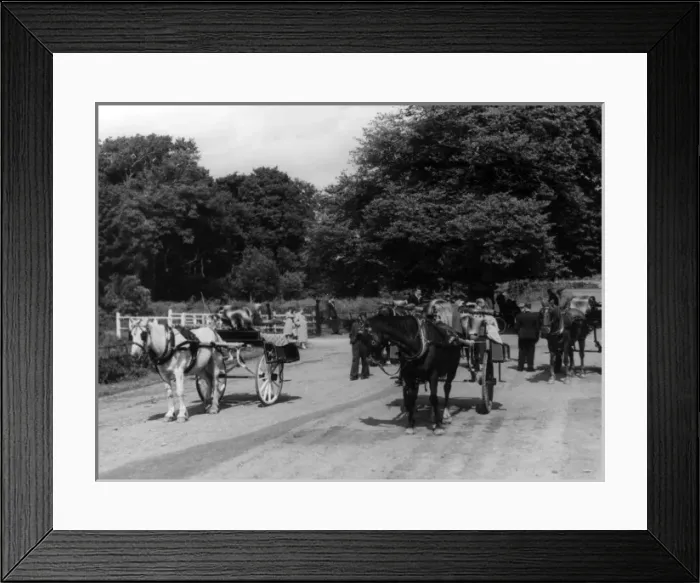 Framed Print : Irish Jaunting Cars Framed Print : Irish Jaunting Cars
