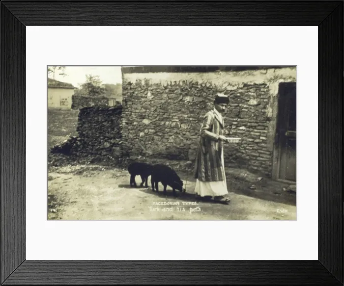 Framed Print : Macedonian Turk and two pets Framed Print : Macedonian Turk and two pets