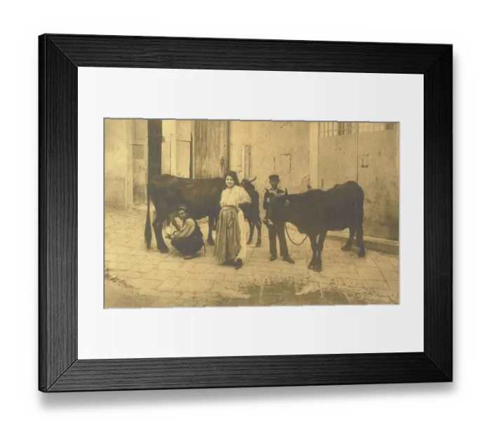 Framed Print : Naples, Italy - Milk Seller Framed Print : Naples, Italy - Milk Seller