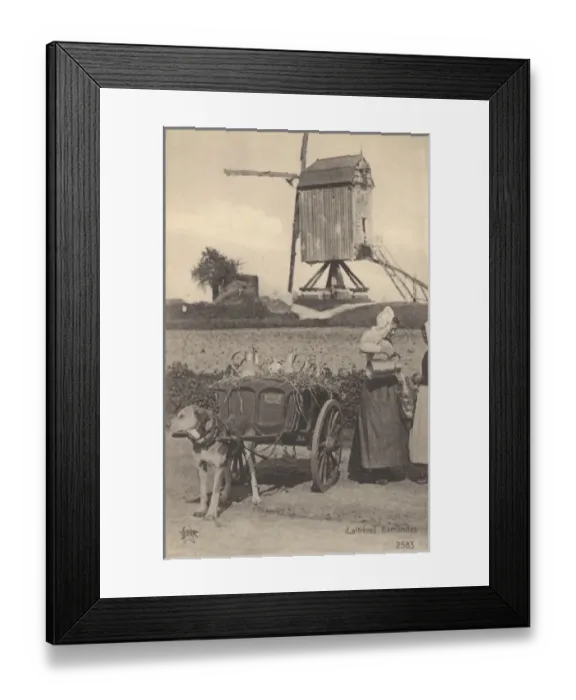 Framed Print : Flemish Milk cart - Belgium Framed Print : Flemish Milk cart - Belgium