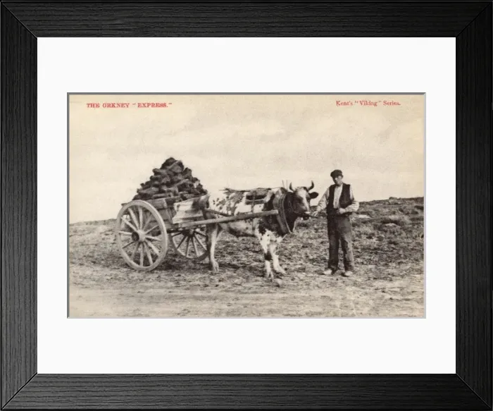 Framed Print : The Orkney Express Framed Print : The Orkney Express