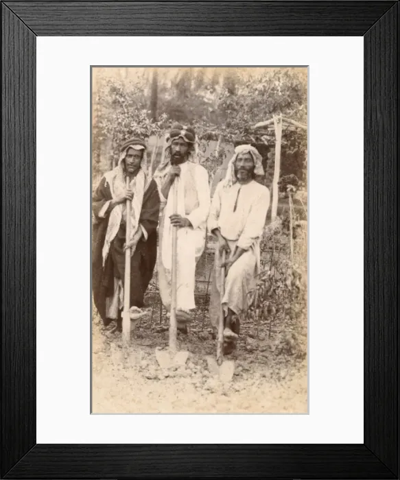 Framed Print : Three Arab Gardeners - Morocco Framed Print : Three Arab Gardeners - Morocco
