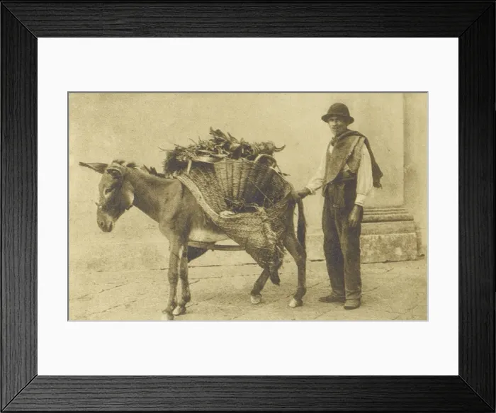 Framed Print : Naples, Italy - Herb Seller Framed Print : Naples, Italy - Herb Seller