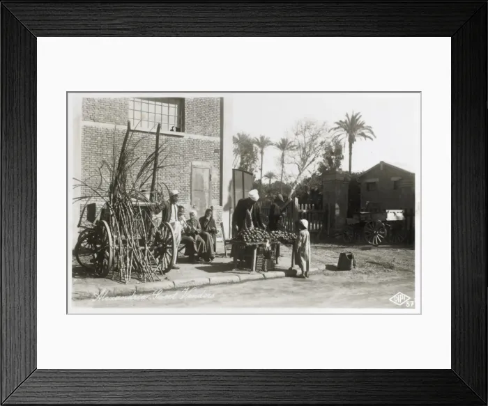Framed Print : Egypt - Alexandria - Sugar Cane and Sweet Vendor Framed Print : Egypt - Alexandria - Sugar Cane and Sweet Vendor
