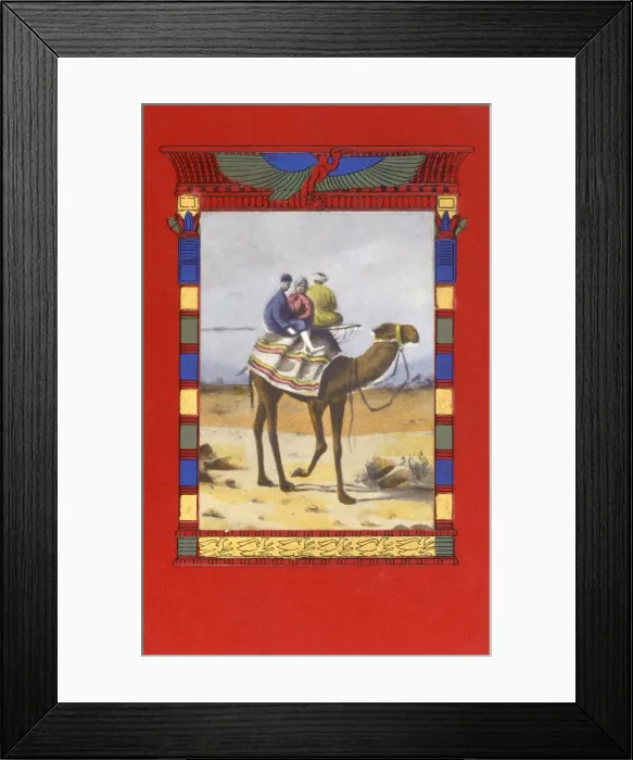 Framed Print : Egypt - Camel Ride in decorative surround Framed Print : Egypt - Camel Ride in decorative surround