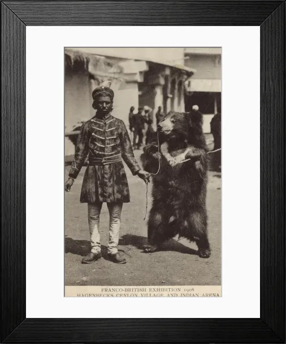 Framed Print : Bear handler - Franco-British Exhibition Framed Print : Bear handler - Franco-British Exhibition