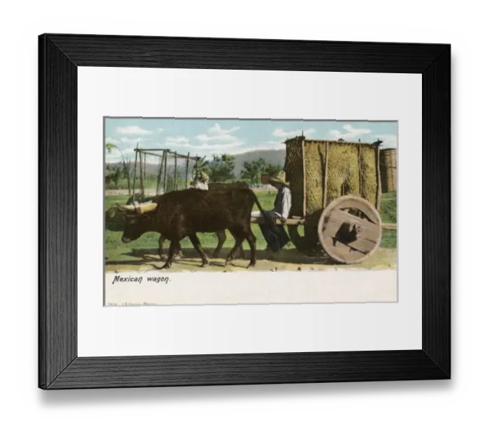 Framed Print : Mexican Wagon with solid wheels Framed Print : Mexican Wagon with solid wheels