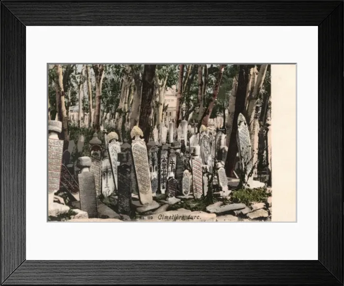 Framed Print : Turkish Cemetery, Istanbul Framed Print : Turkish Cemetery, Istanbul