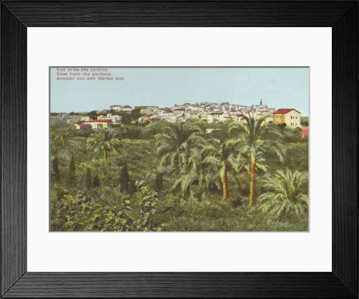 Framed Print : Beirut, Lebanon - View from the Gardens Framed Print : Beirut, Lebanon - View from the Gardens