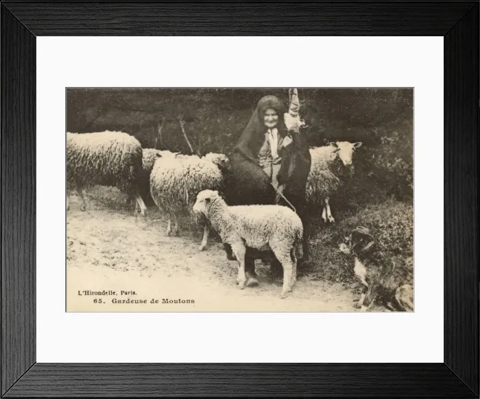 Framed Print : French Shepherdess with flock and dog Framed Print : French Shepherdess with flock and dog