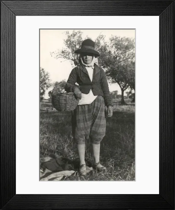 Framed Print : Picture No. 10419461 Framed Print : Picture No. 10419461