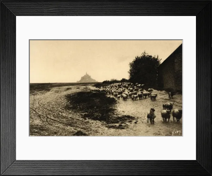Framed Print : Mont St Michel, Normandy, France (6 / 6) Framed Print : Mont St Michel, Normandy, France (6 / 6)