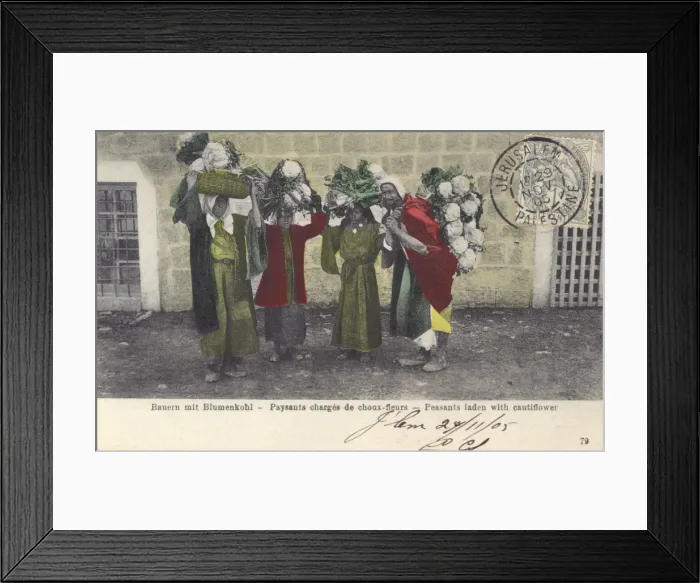 Framed Print : Israel - Peasants laden with cauliflowers Framed Print : Israel - Peasants laden with cauliflowers