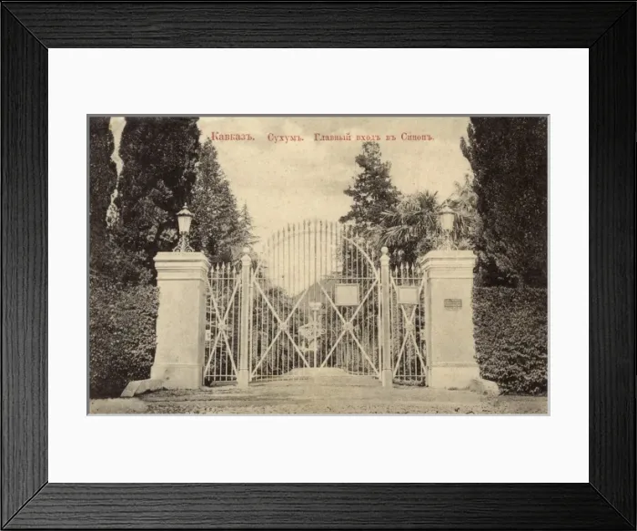 Framed Print : Abkhazia - Sukhumi Framed Print : Abkhazia - Sukhumi