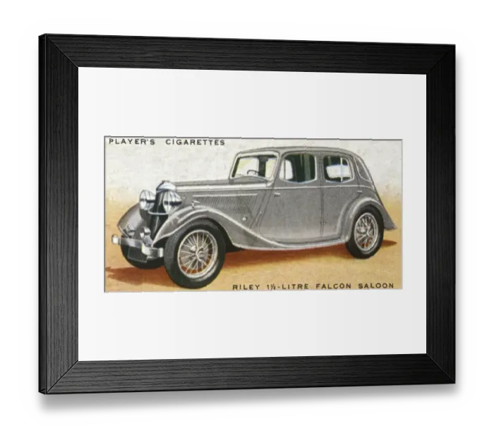 Framed Print : Riley Falcon Framed Print : Riley Falcon