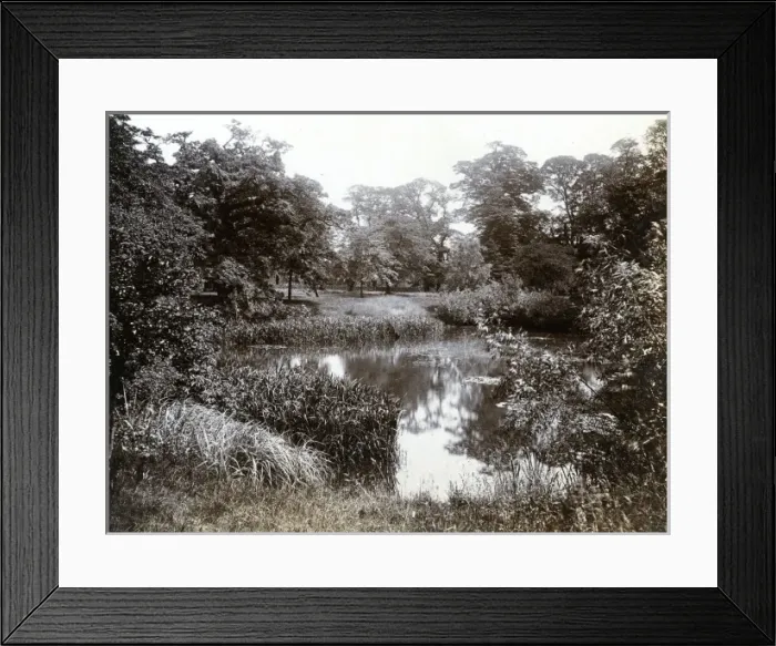 Framed Print : Greenwich Park Framed Print : Greenwich Park