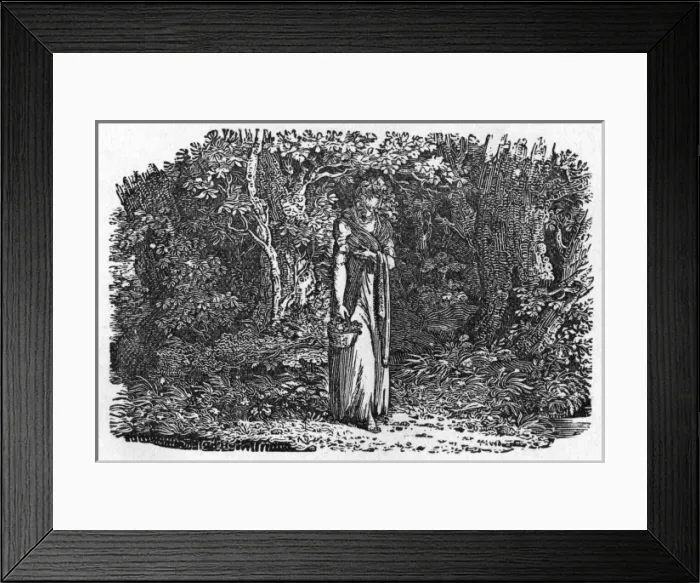 Framed Print : CRAZY JANE Framed Print : CRAZY JANE