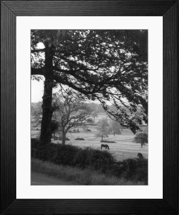 Framed Print : Lincolnshire Cameo