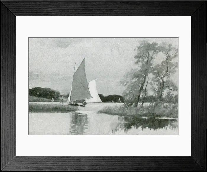 Framed Print : Norfolk Broads Framed Print : Norfolk Broads