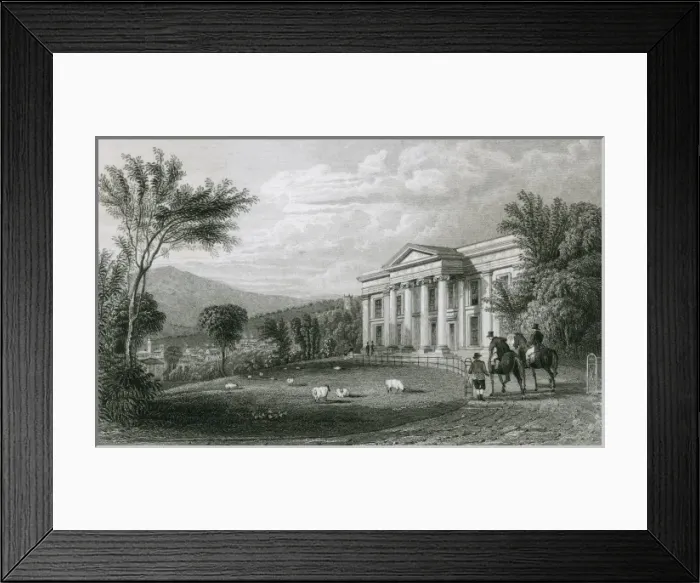 Framed Print : OAKLANDS. Sheep graze on the lawns of Oaklands Framed Print : OAKLANDS. Sheep graze on the lawns of Oaklands