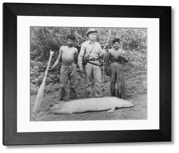 Framed Print : A Large Catch Framed Print : A Large Catch