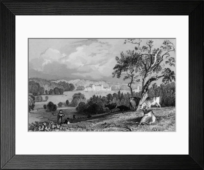 Framed Print : Normanton Park, Rutland Framed Print : Normanton Park, Rutland