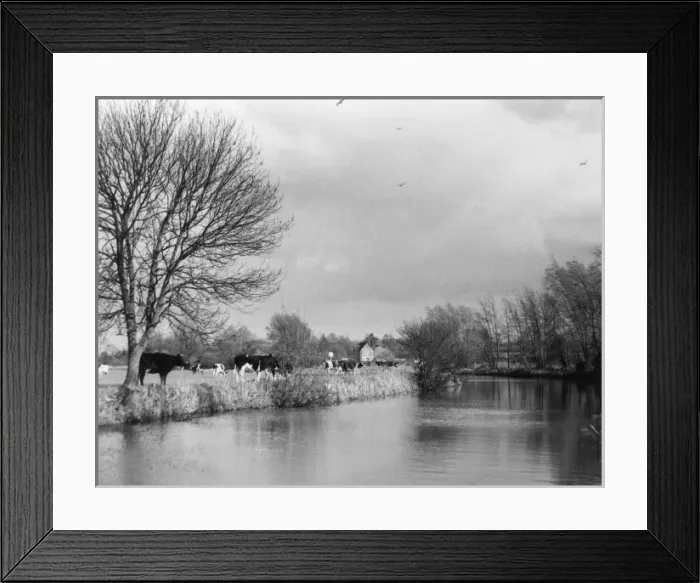Framed Print : England / River Stour Framed Print : England / River Stour