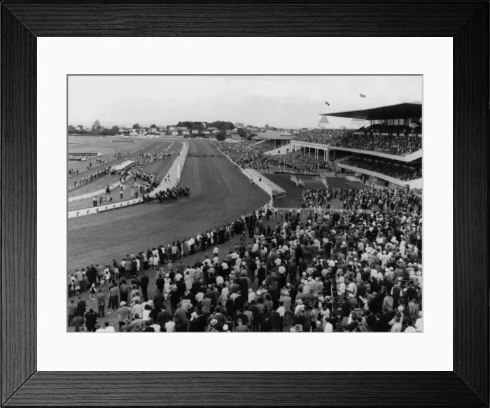 Framed Print : New Zealand Races Framed Print : New Zealand Races