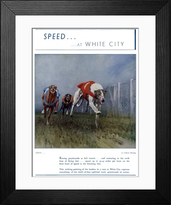 Framed Print : Greyhound racing at White City Framed Print : Greyhound racing at White City