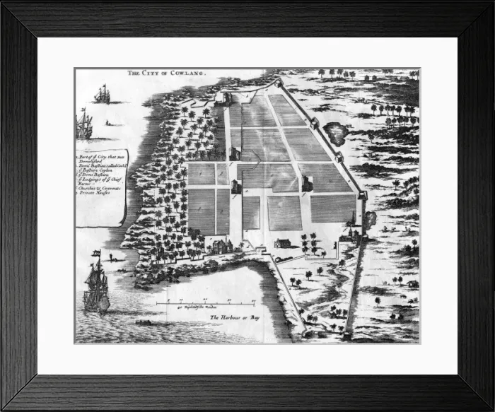 Framed Print : India / Cowlang Framed Print : India / Cowlang