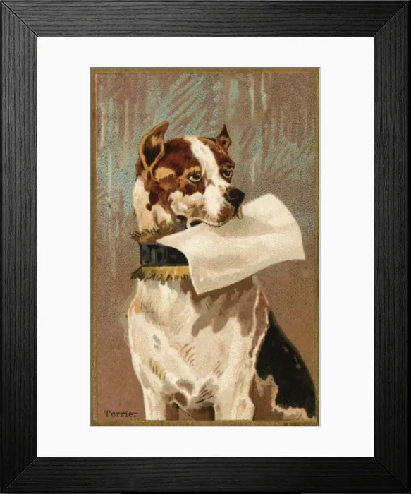 Framed Print : Dog and Blank - 2