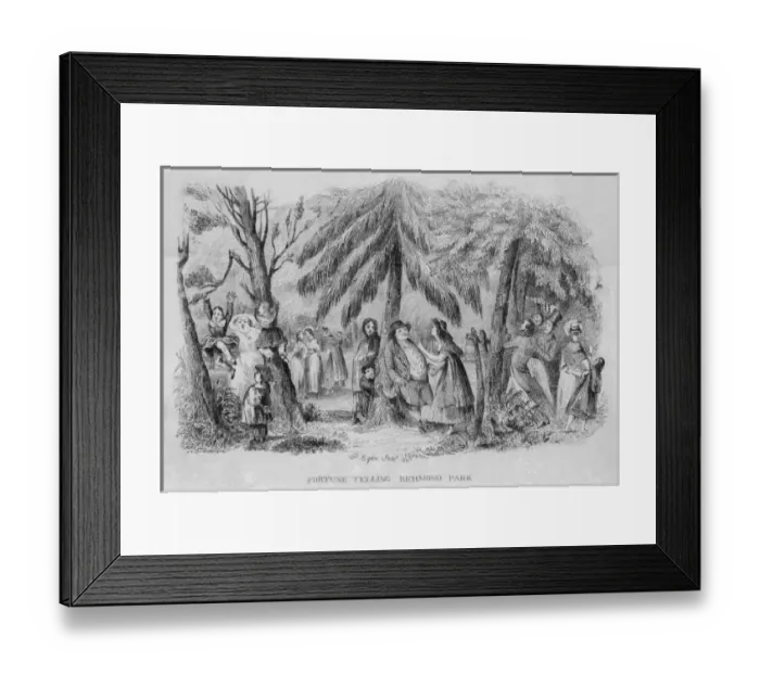 Framed Print : Richmond Park, Surrey Framed Print : Richmond Park, Surrey