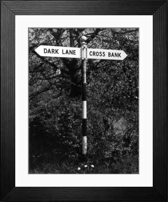 Framed Print : Dark Lane Sign Framed Print : Dark Lane Sign