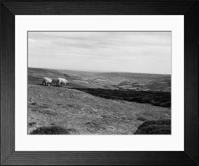 Framed Print : Rose Dale, Yorkshire Framed Print : Rose Dale, Yorkshire