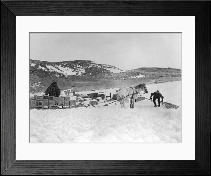 Framed Print : Hauling Stores Framed Print : Hauling Stores